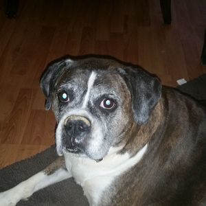 Meet your Posher, Melanie